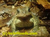 /home//u458753944/public_html/sourcegallery//McKaig Nature Center/2024-09-29/P9291576.JPG